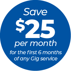 Blue icon for save $25 per month written on it.